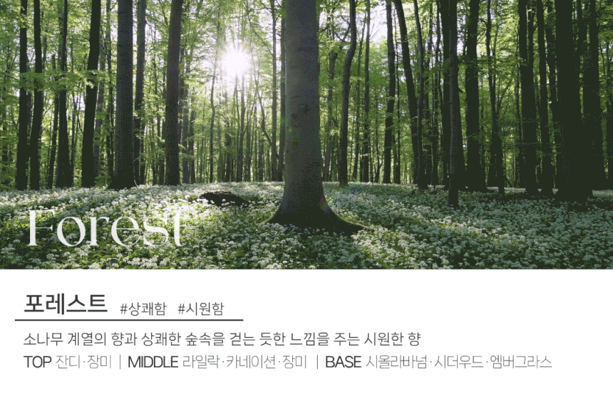 도그독 3세대 D-E1 차량용 방향제 자동차 디퓨저 프렌치불독 블랙체리