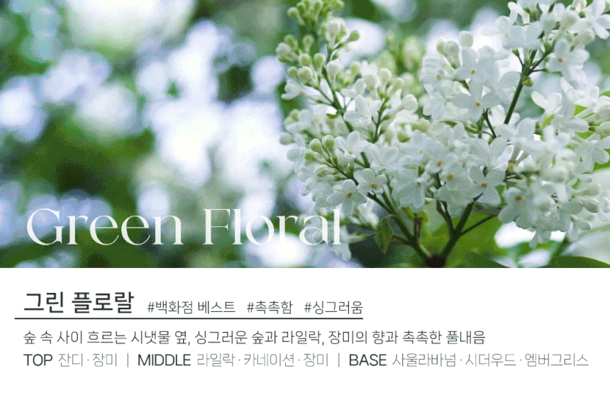 도그독 3세대 D-E1 차량용 방향제 자동차 디퓨저 프렌치불독 블랙체리