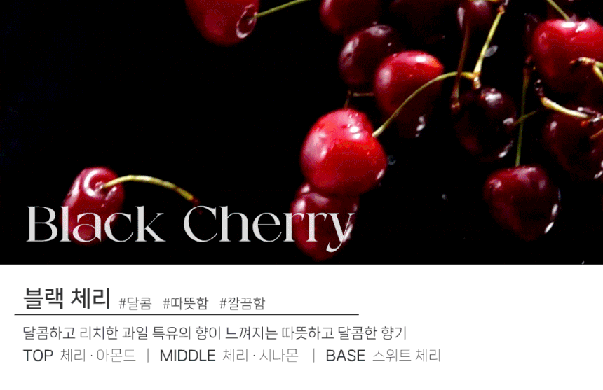 도그독 3세대 D-E1 차량용 방향제 자동차 디퓨저 프렌치불독 블랙체리
