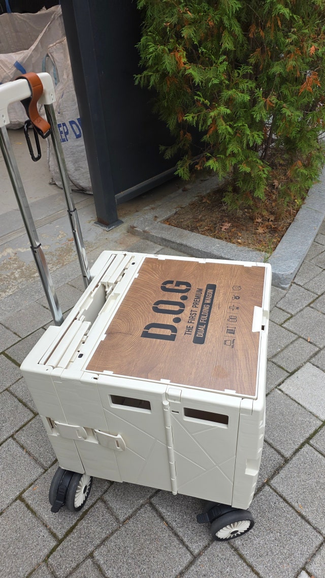 fc288045db99d.jpg