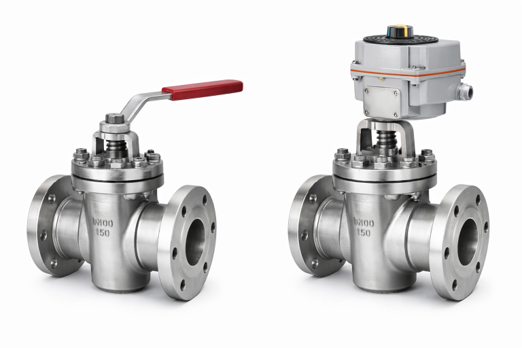 AZ Valve 01