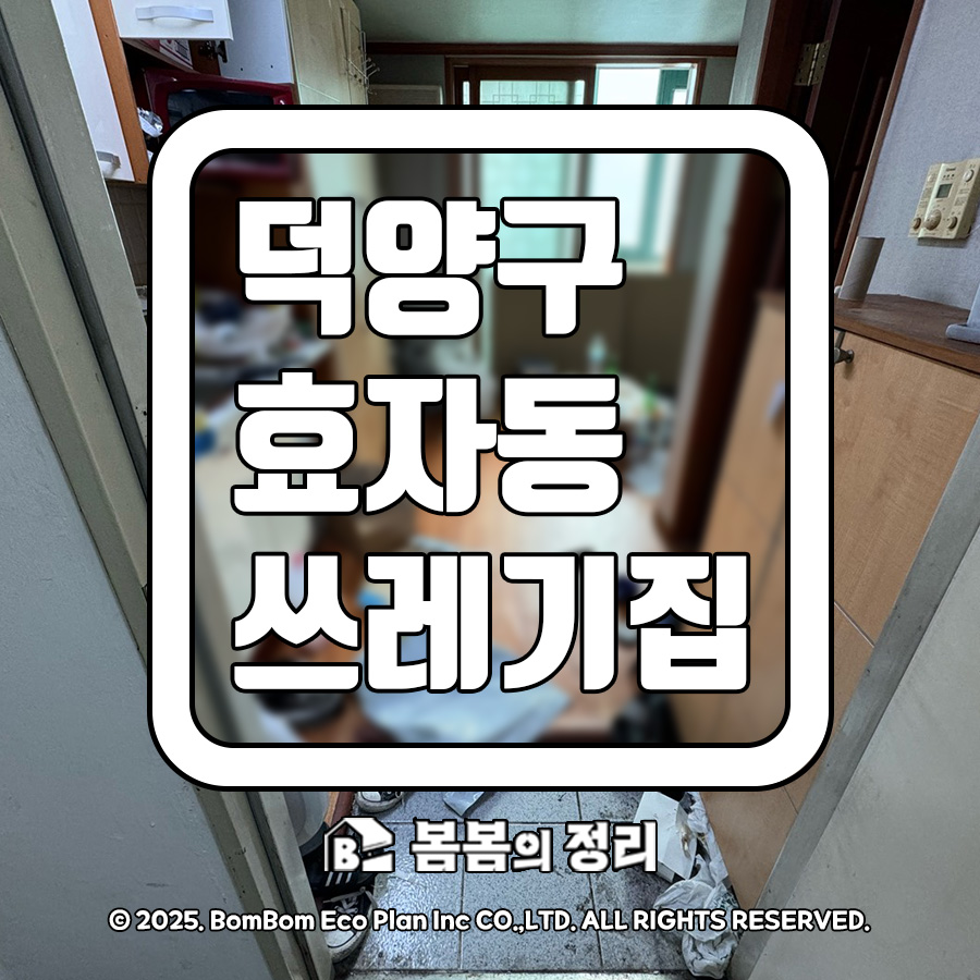 고양시 덕양구 효자동 쓰레기집 청소