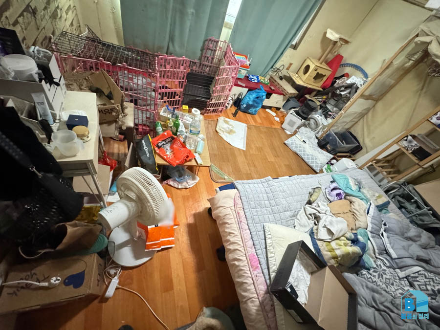 소사본동 방 반려동물 케이지와 용품 방치 상태
