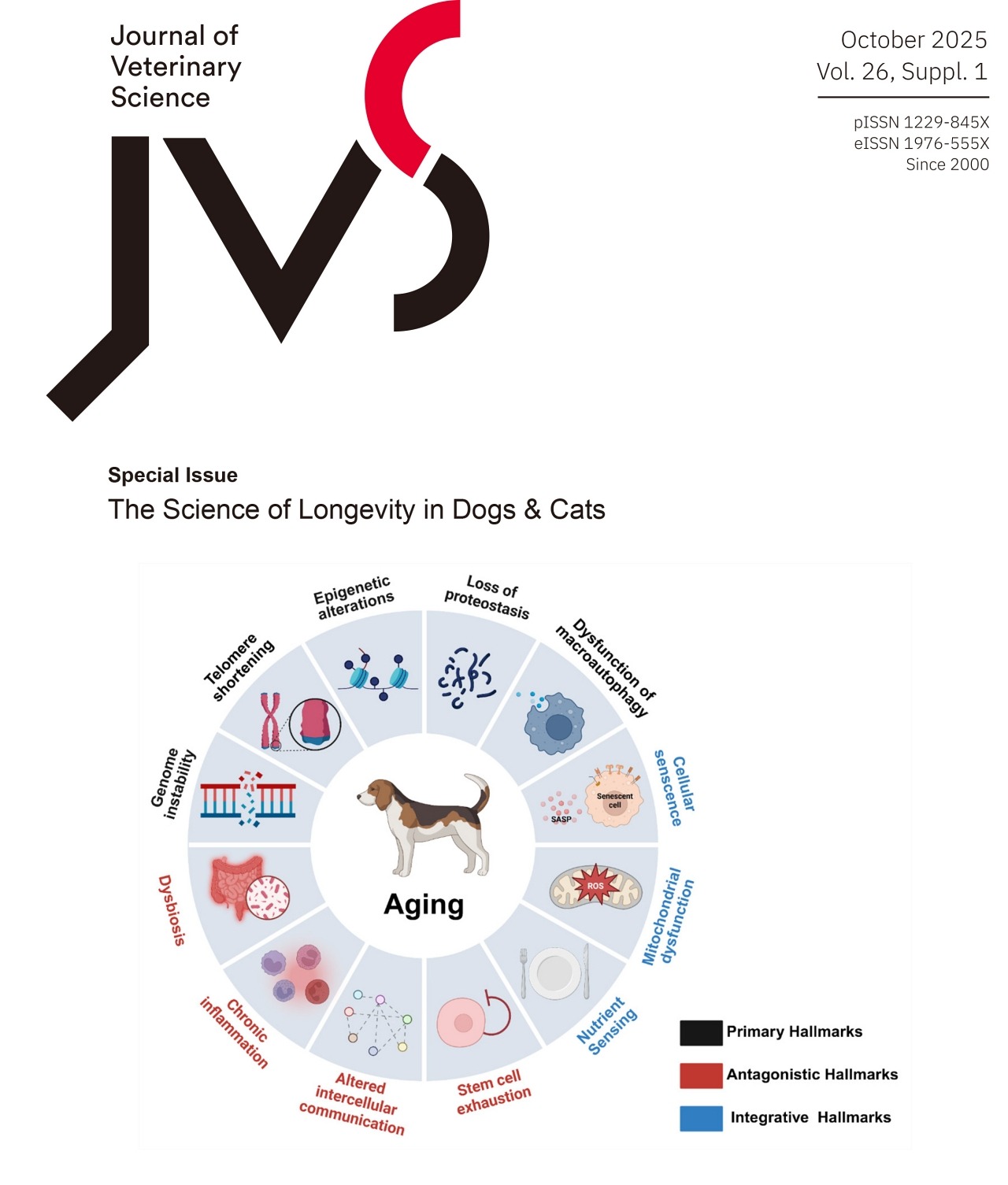 JVS Special Issue