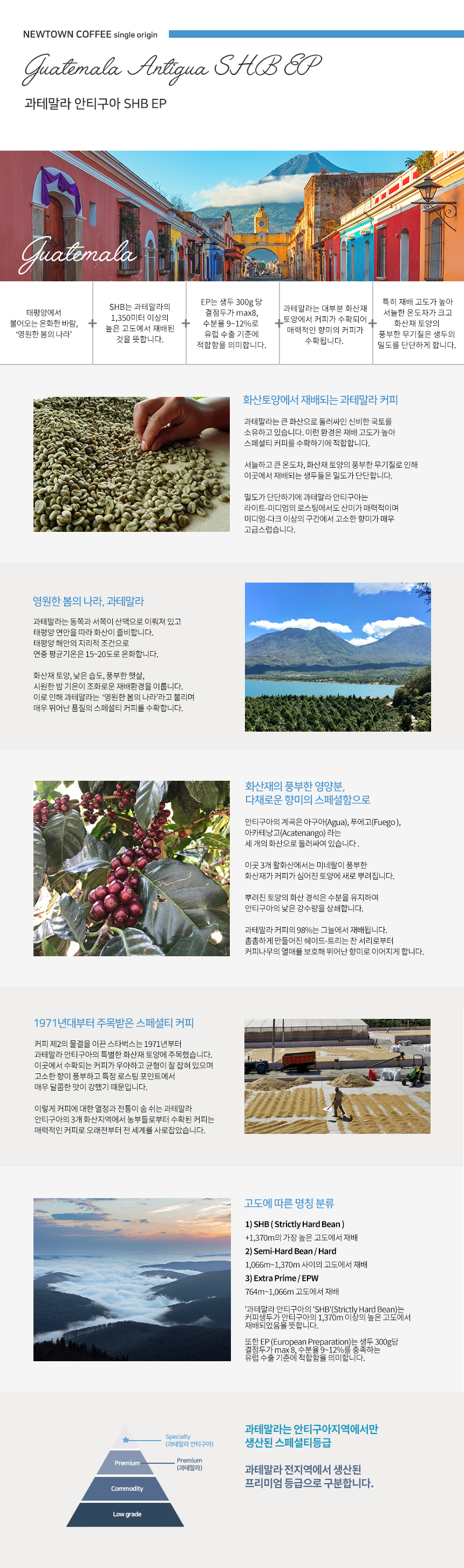 헬로버번 블렌드