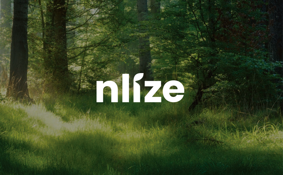 nlize - project image