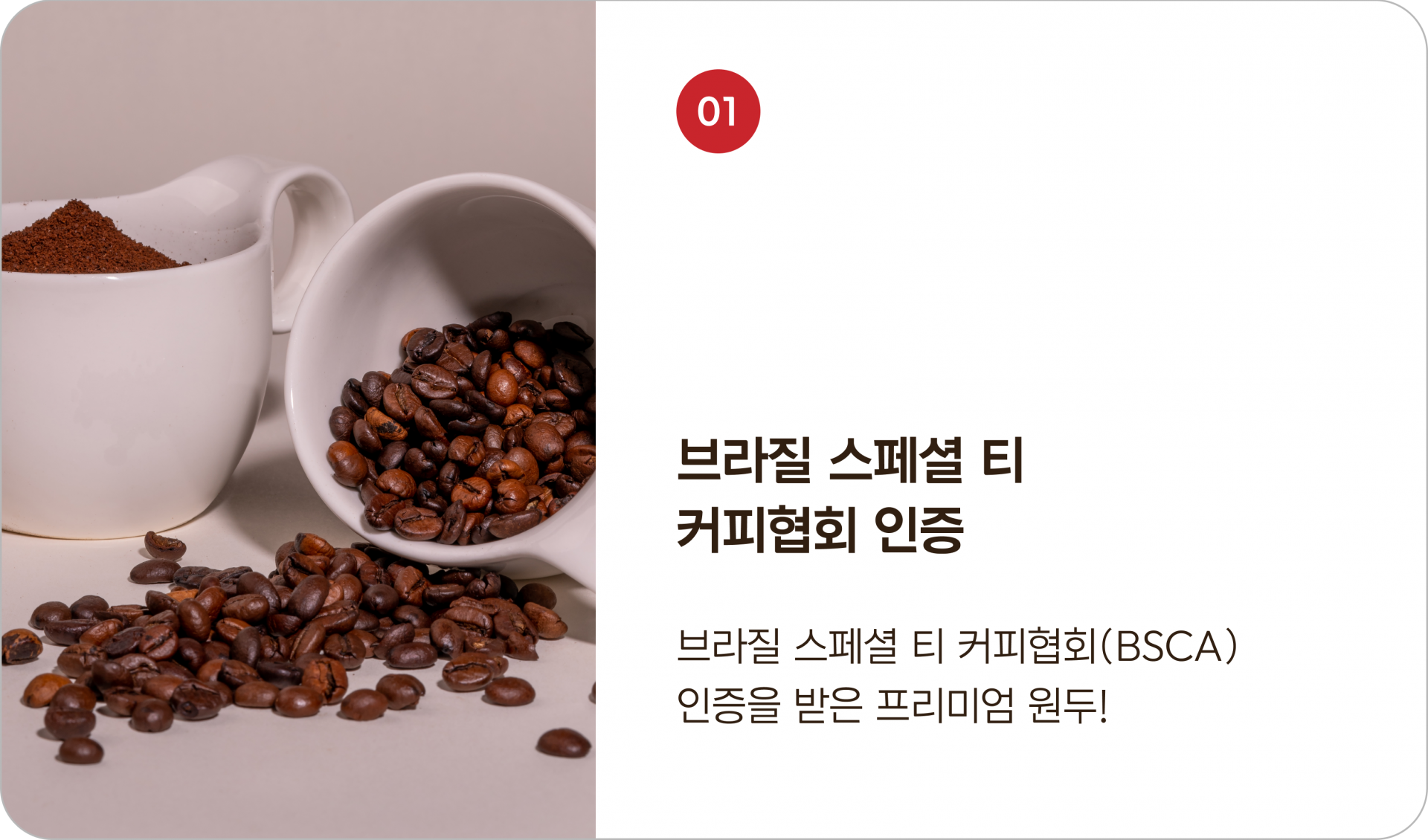 브라질 스페셜 티 커피협회 인증