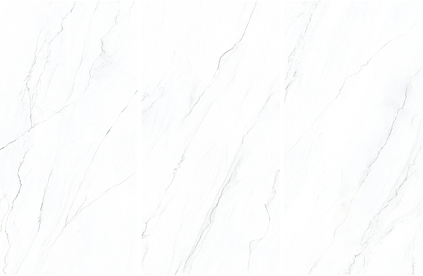43bac903b148c.png