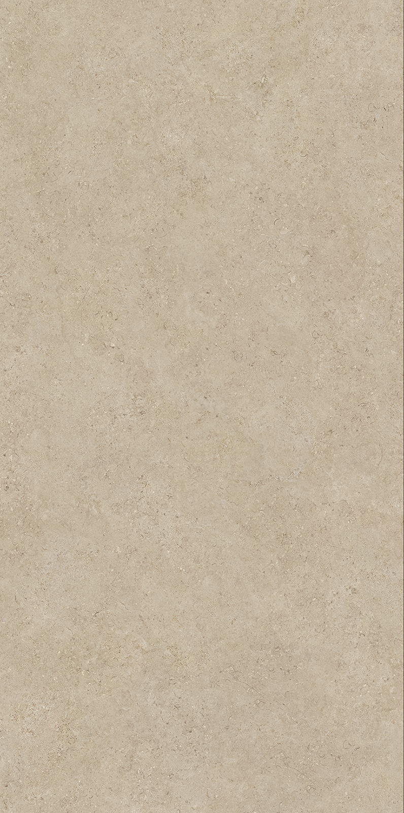 cf378c19bd465.jpg
