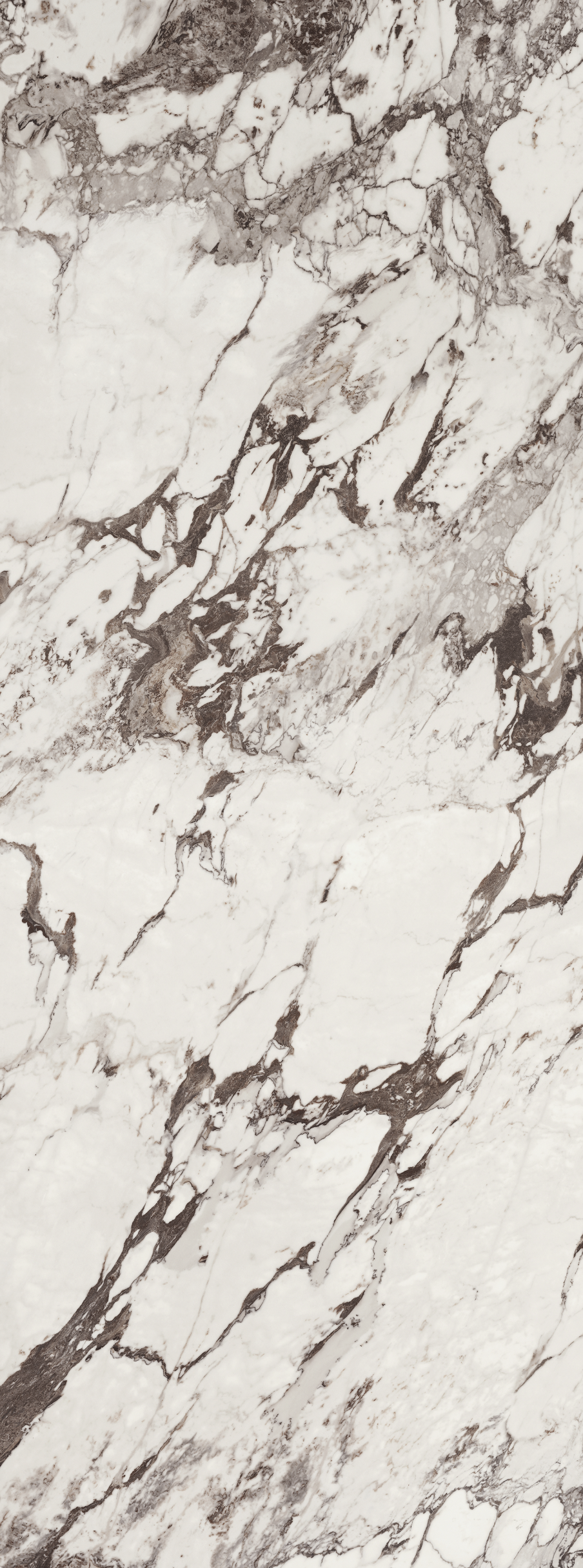 f53a636da7148.png