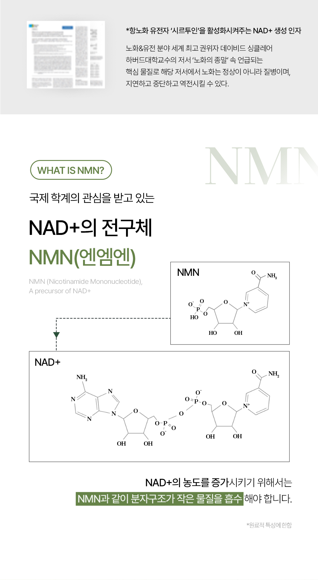 비밸런스 쑥 극세사 마스크