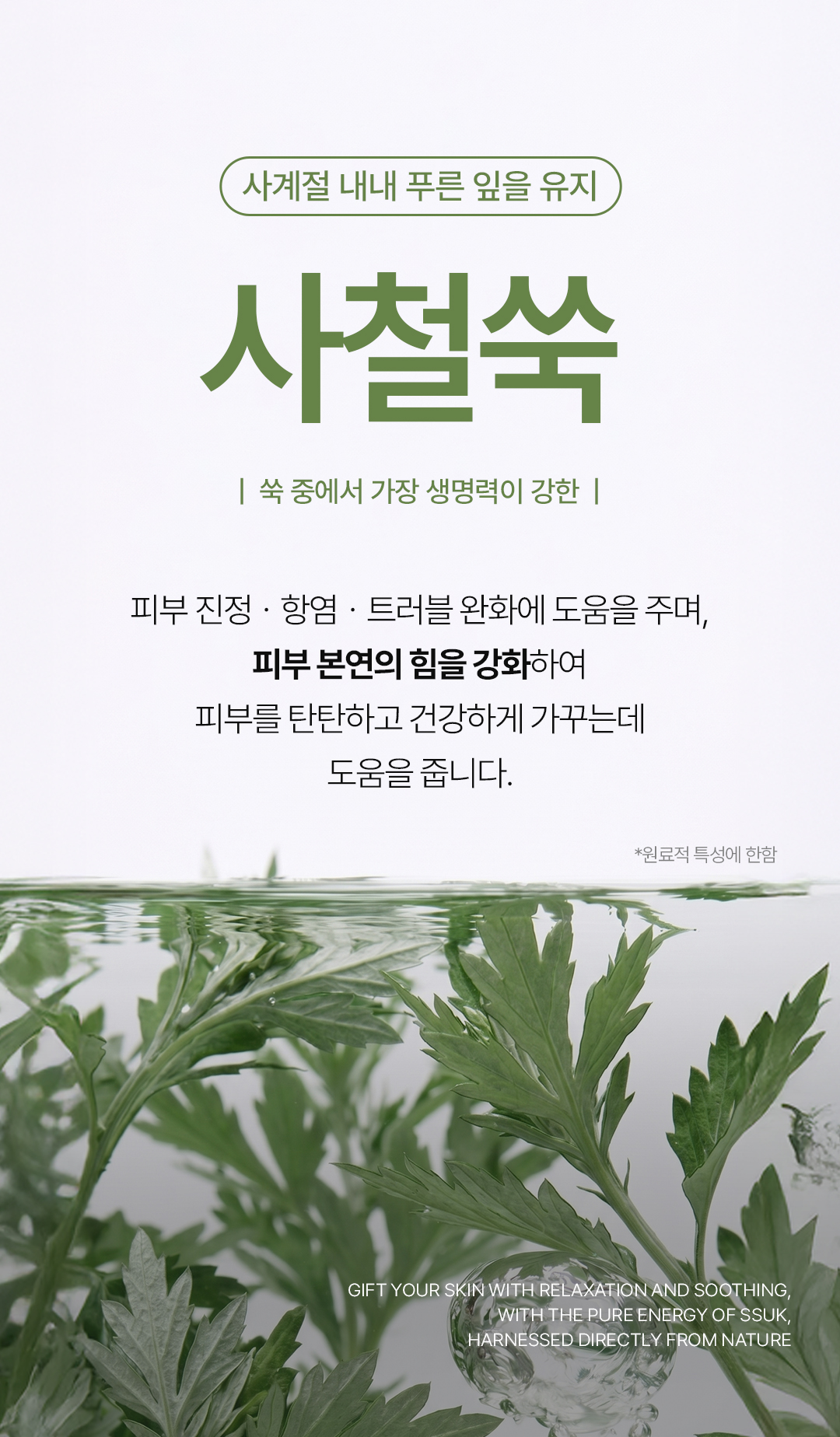 비밸런스 쑥 카밍 젤 클렌저