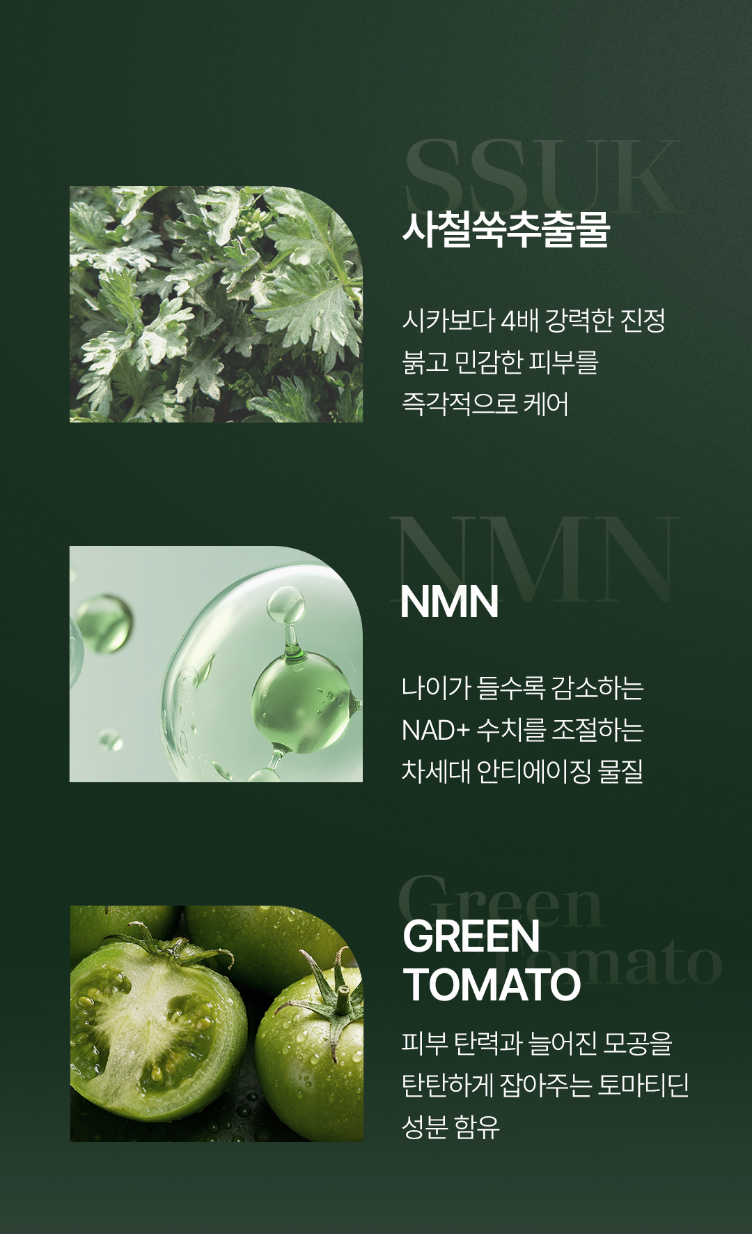 비밸런스 쑥 극세사 마스크