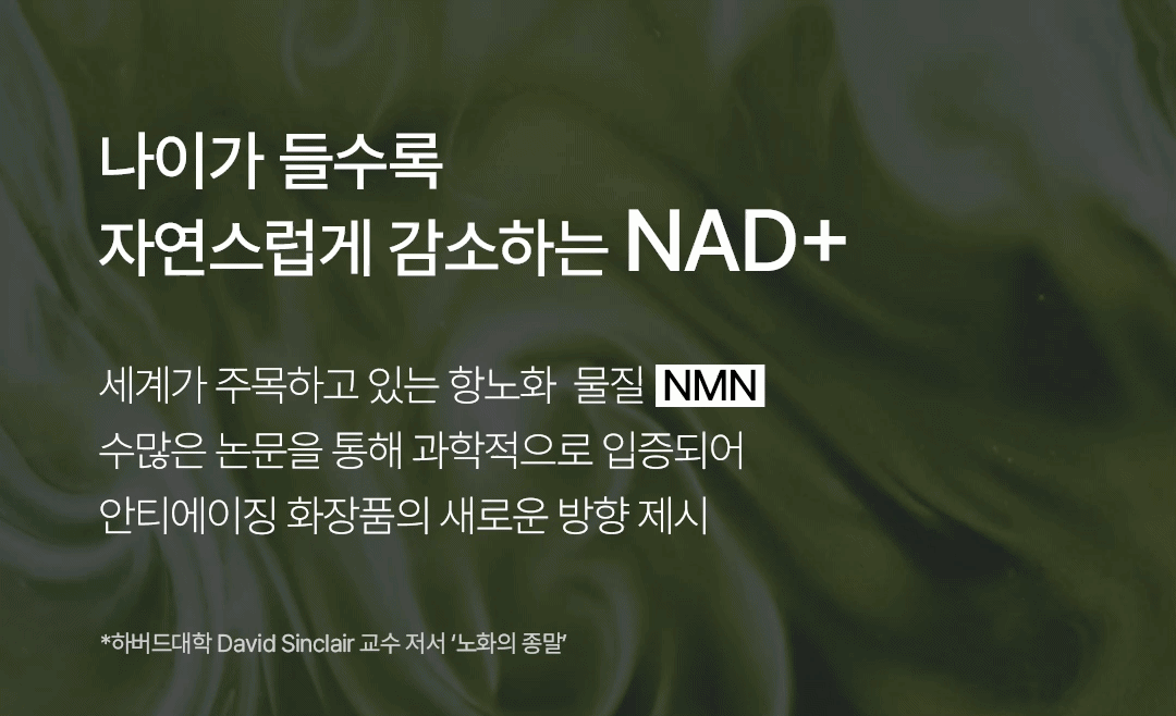 비밸런스 쑥 라떼 부스터