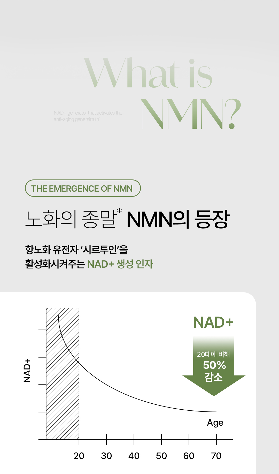비밸런스 쑥 라떼 부스터