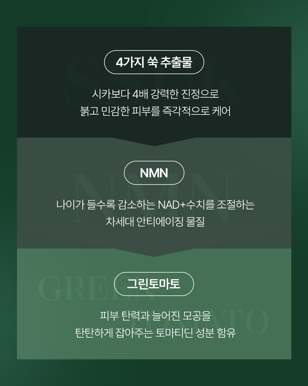 비밸런스 쑥 극세사 마스크