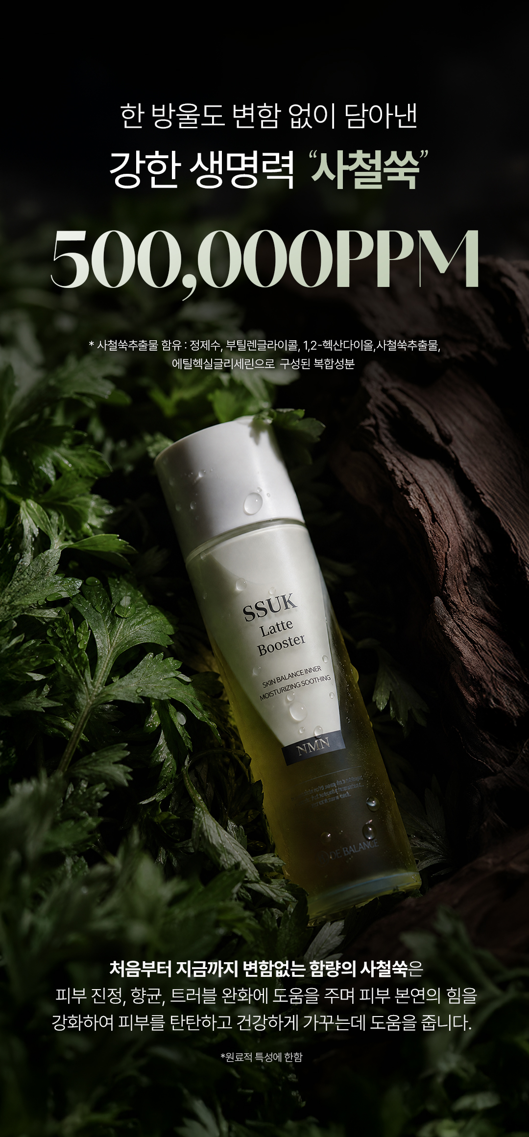 비밸런스 쑥 라떼 부스터