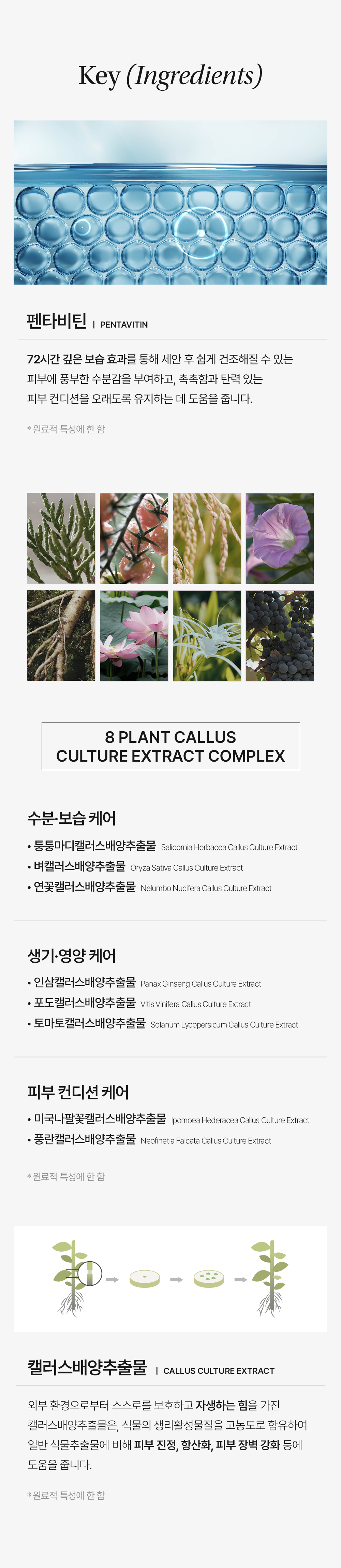 비밸런스 지클래식 밸런싱 클렌저