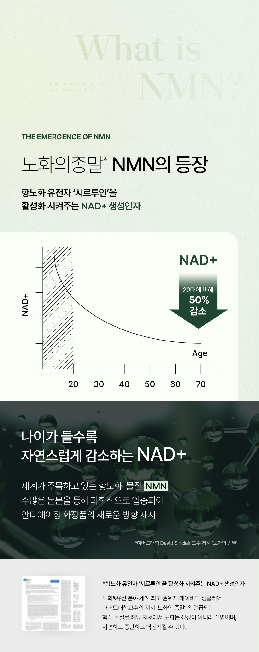 비밸런스 쑥 극세사 마스크