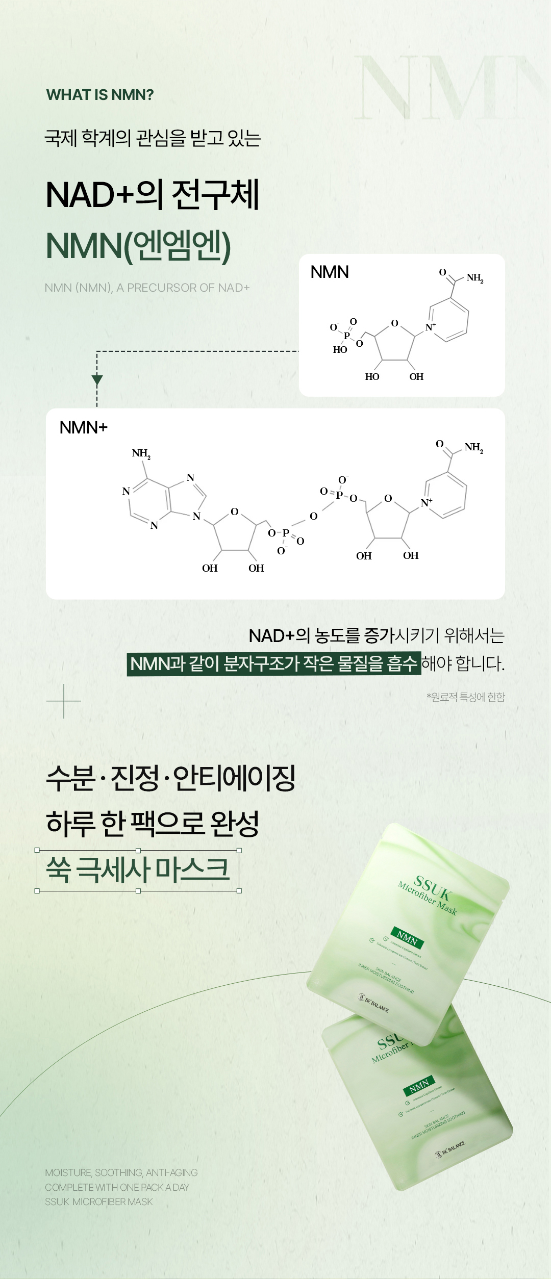 비밸런스 쑥 극세사 마스크