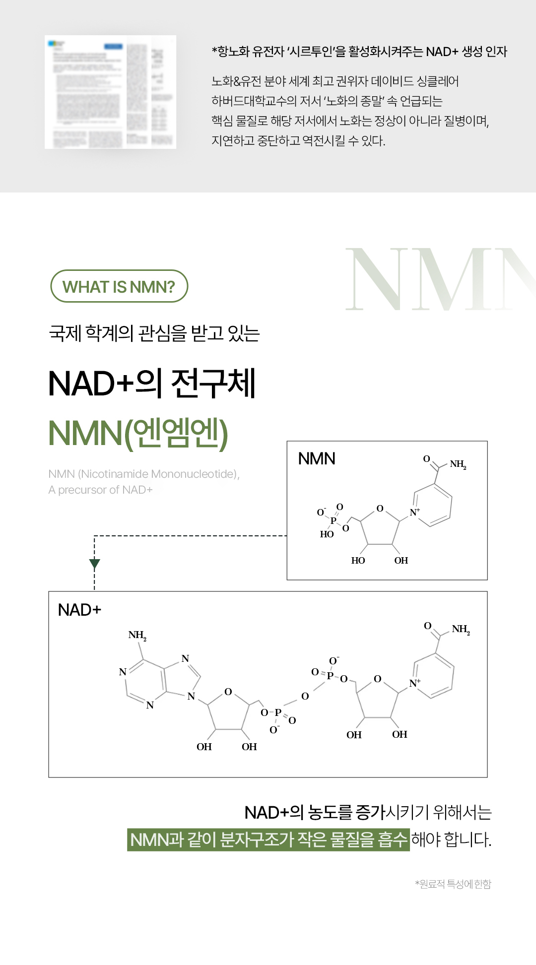 비밸런스 쑥 라떼 부스터