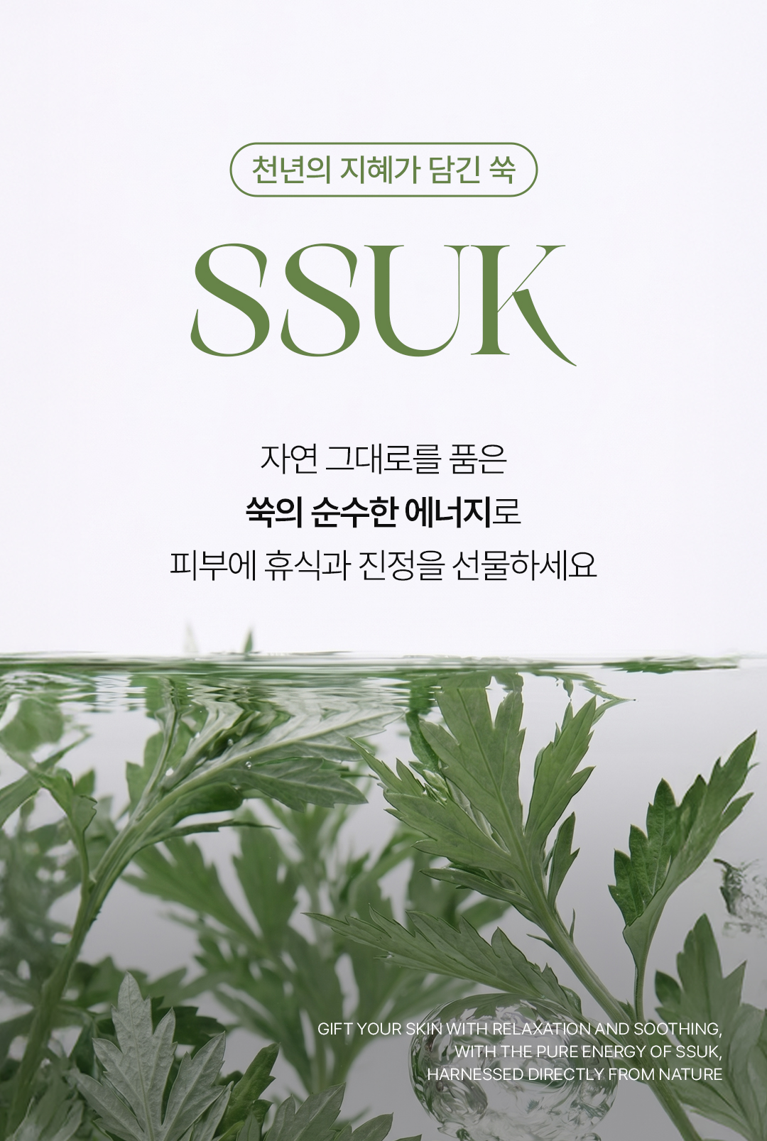 비밸런스 쑥 라떼 부스터