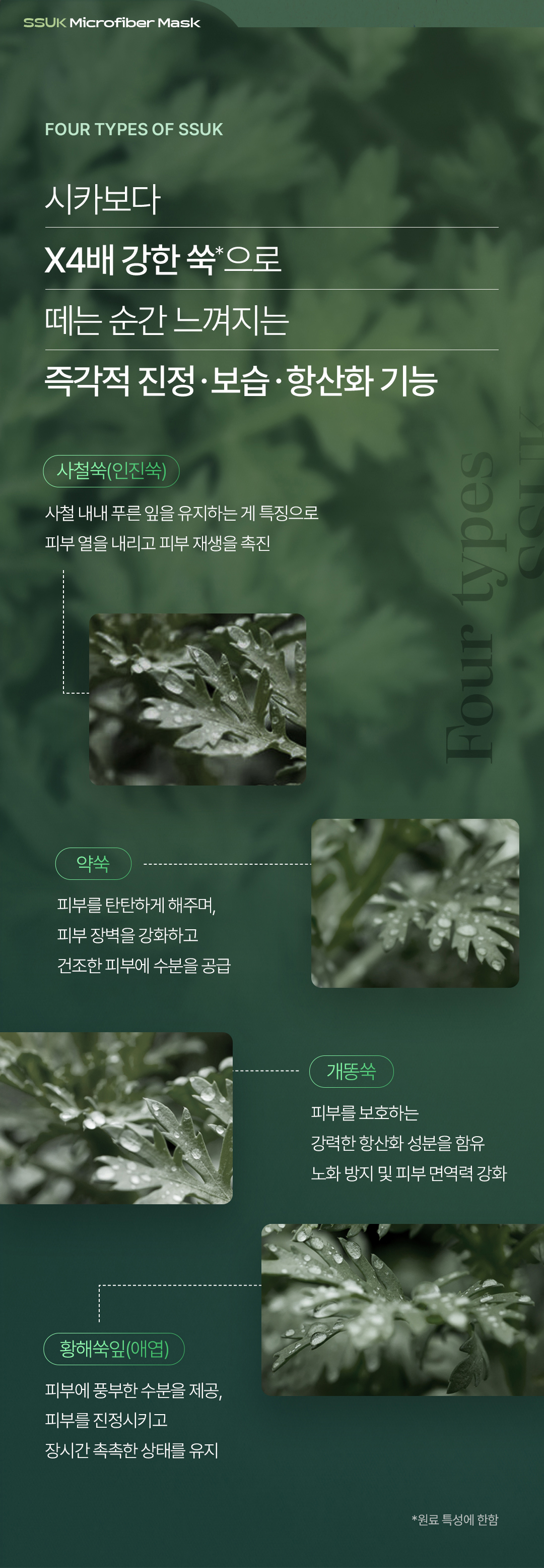 비밸런스 쑥 극세사 마스크
