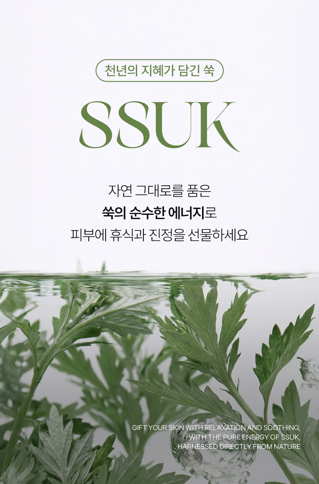 비밸런스 쑥 극세사 마스크