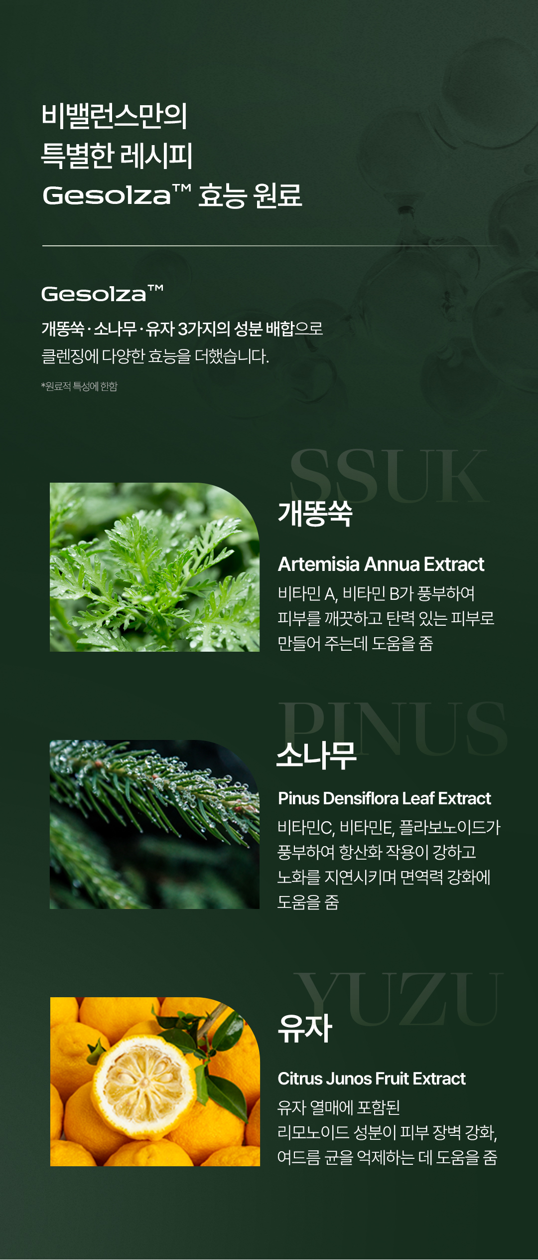 비밸런스 쑥 카밍 젤 클렌저