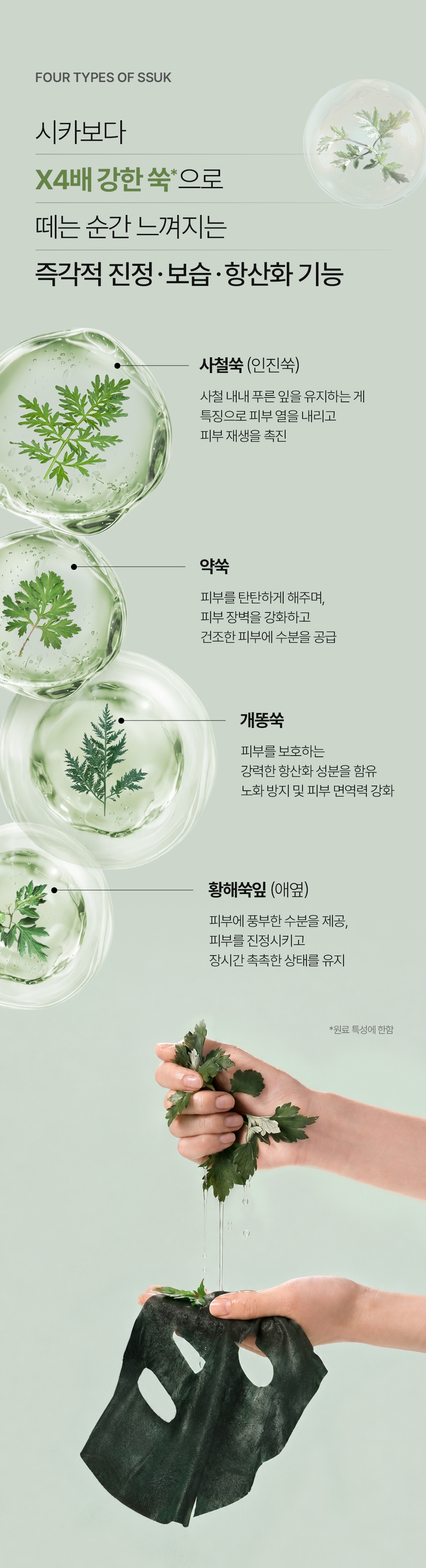 비밸런스 쑥 극세사 마스크