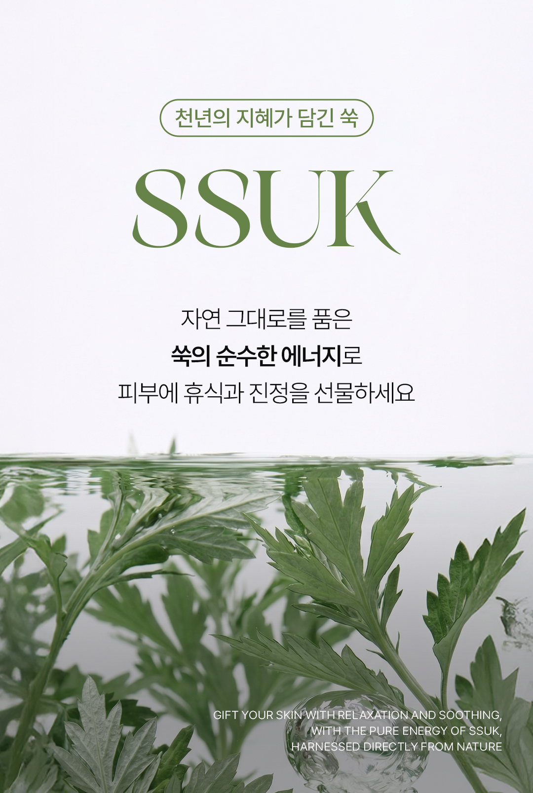 비밸런스 쑥 더블 크림