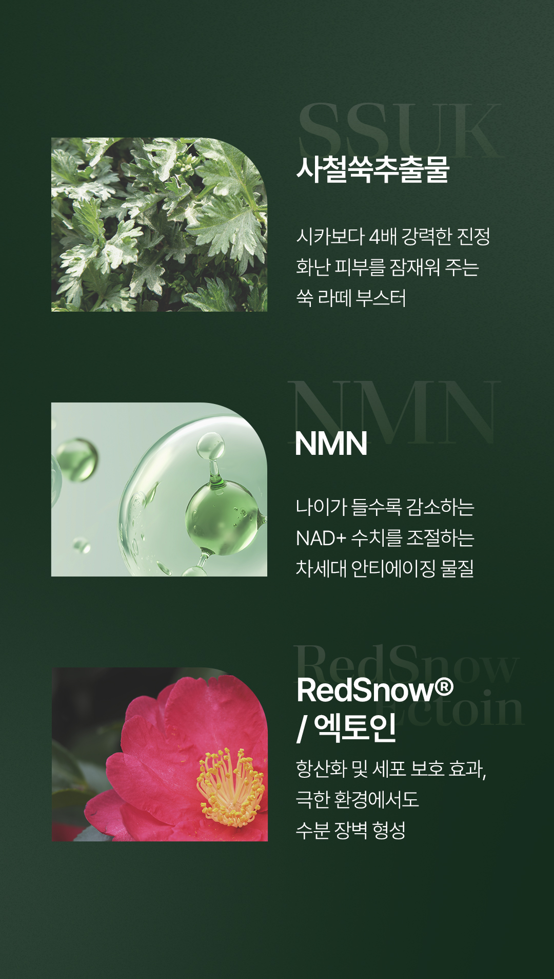 비밸런스 쑥 라떼 부스터