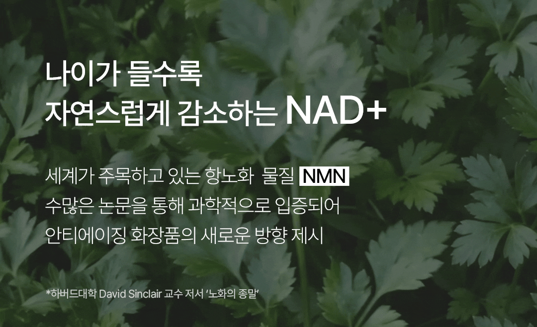 비밸런스 쑥 극세사 마스크