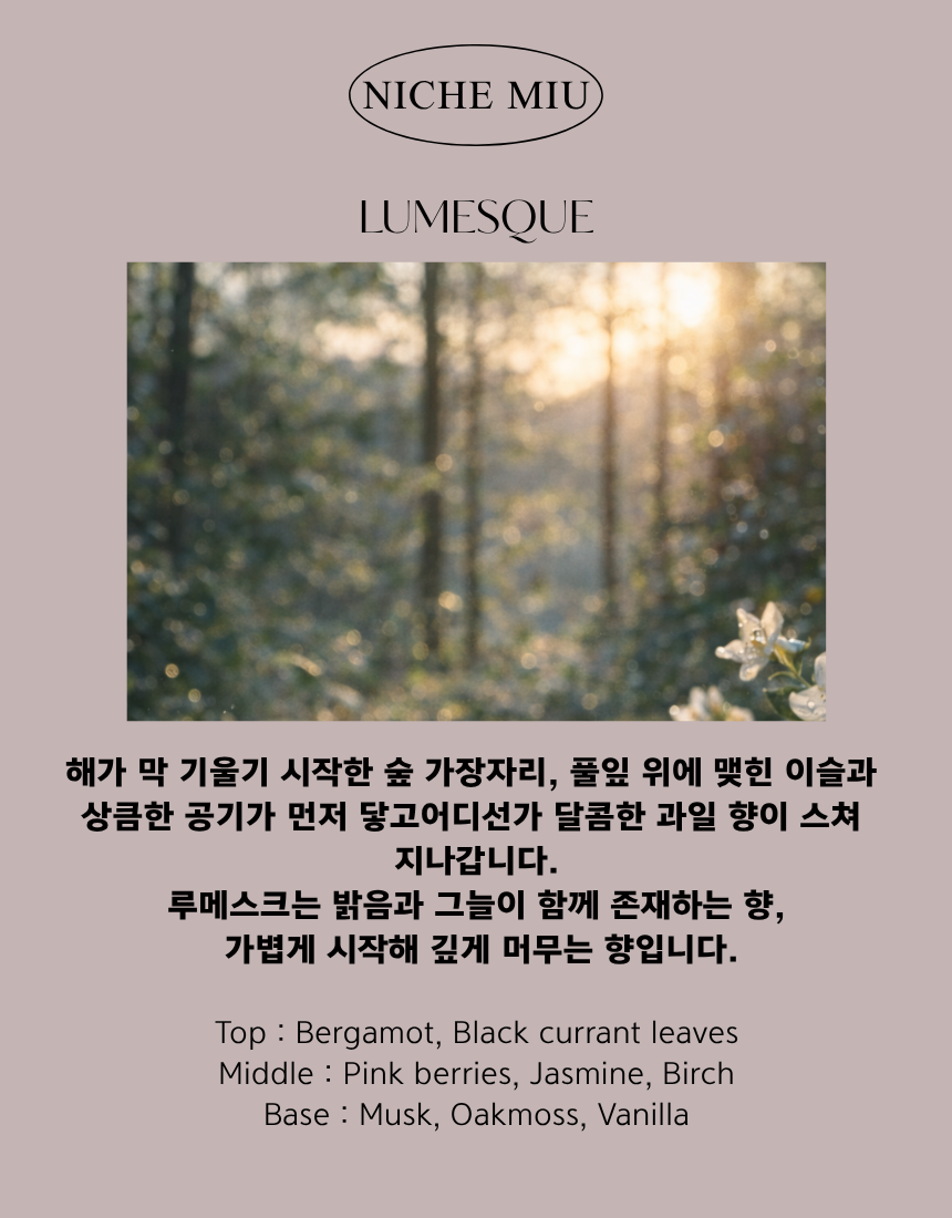 Lumesque(루메스크)SACHET POUCH 30G