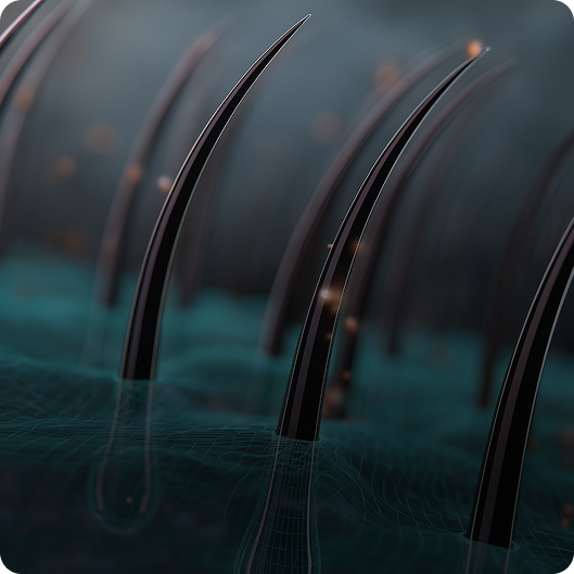 Microneedle Patch