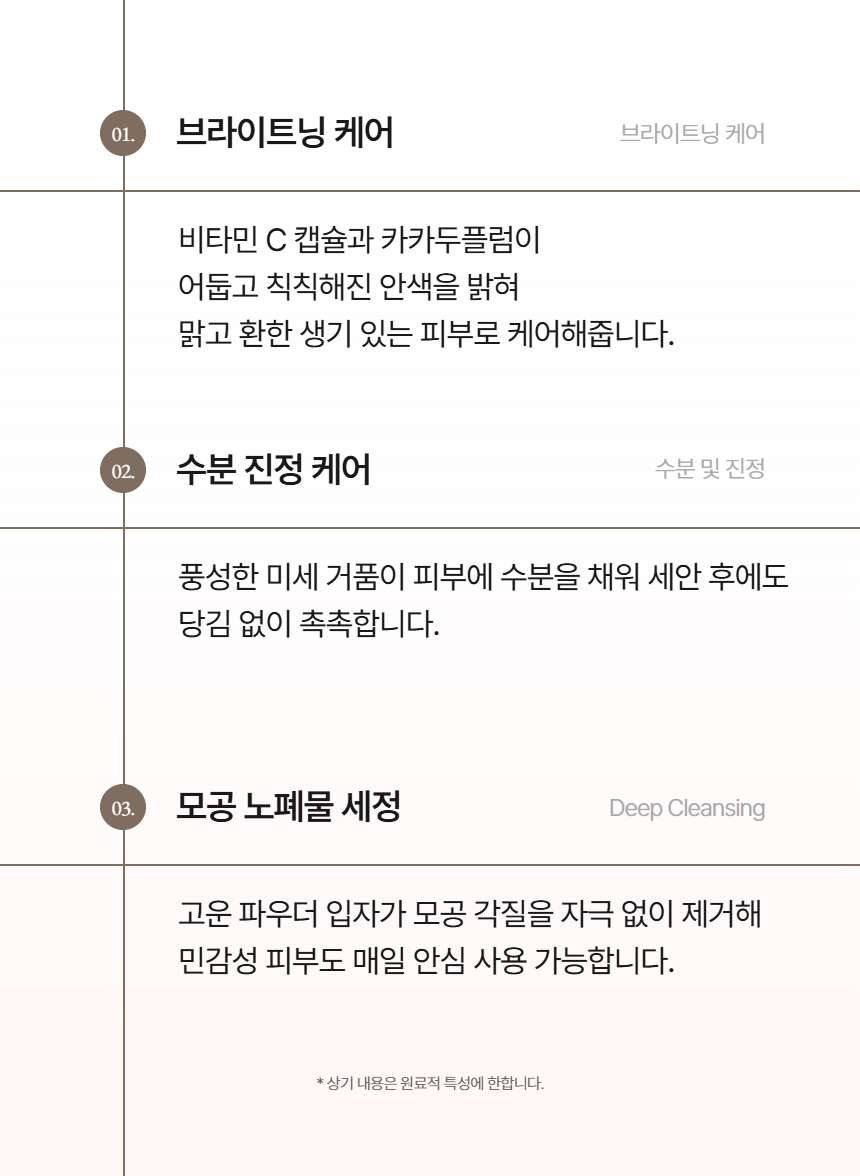 비타씨 엔자임 파우더 워시 65g