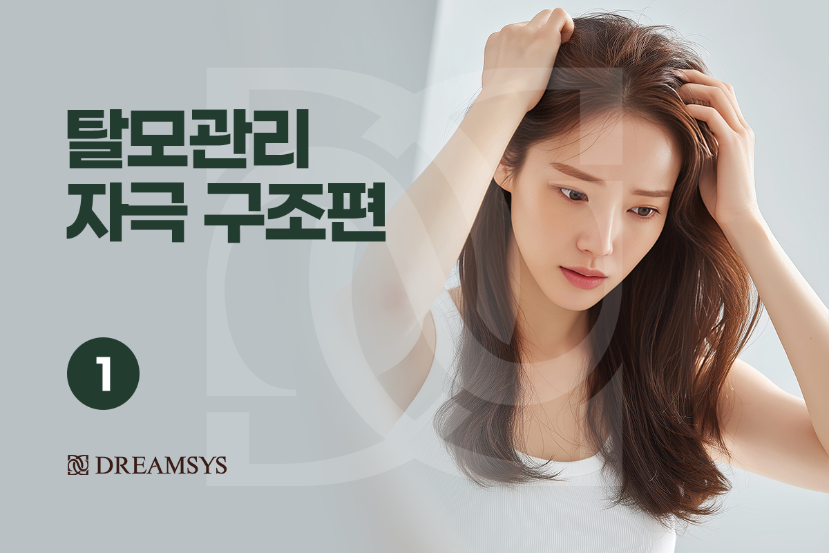 대표이미지.png
