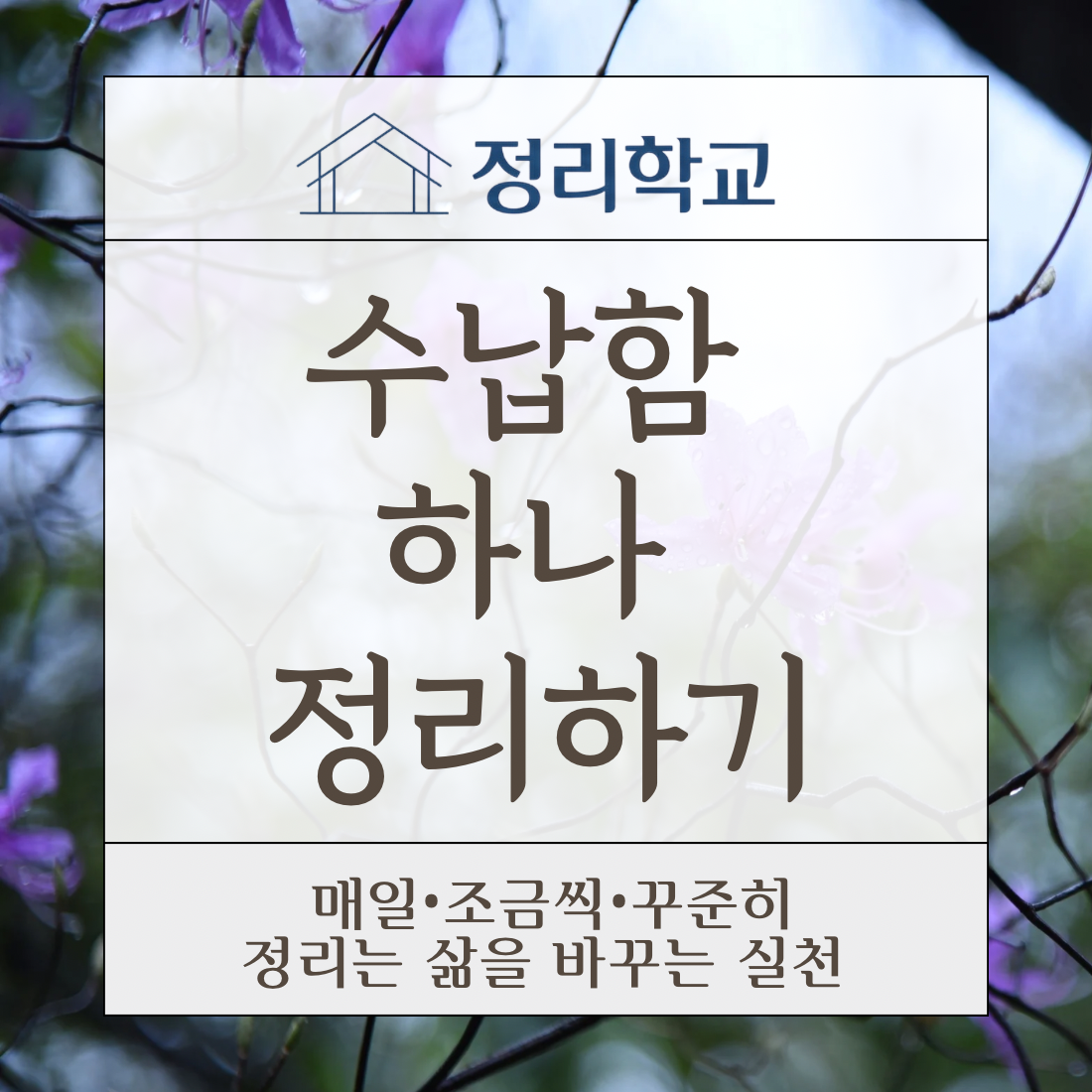 2553ef9257850.png