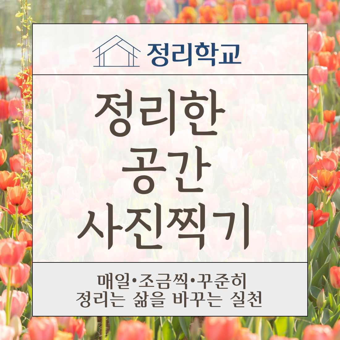 663eb053a4ea6.png