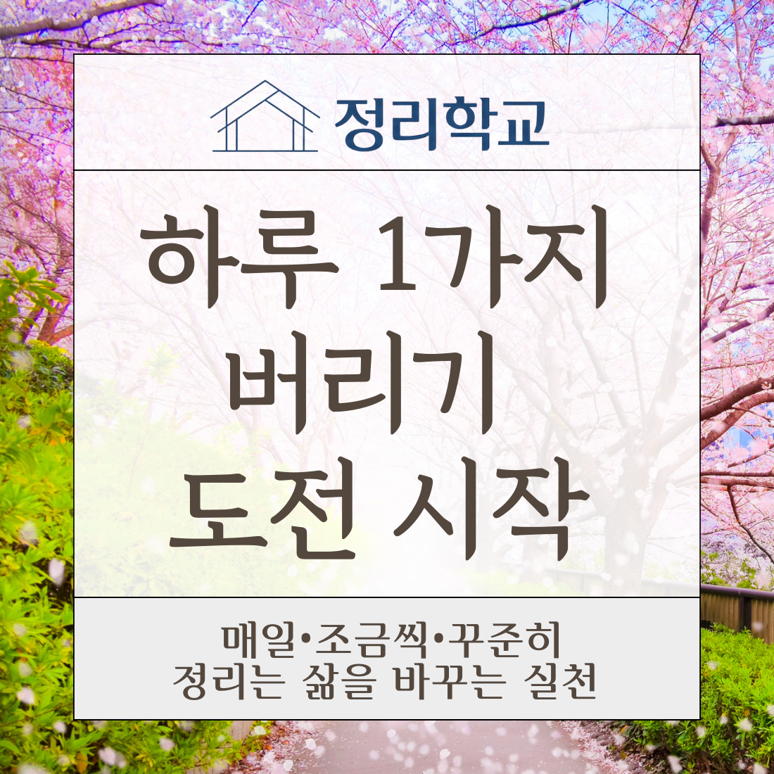 7ef32d54c623f.png