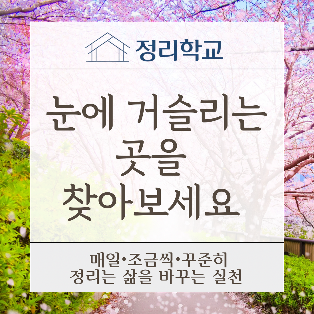 a37255865efa3.png