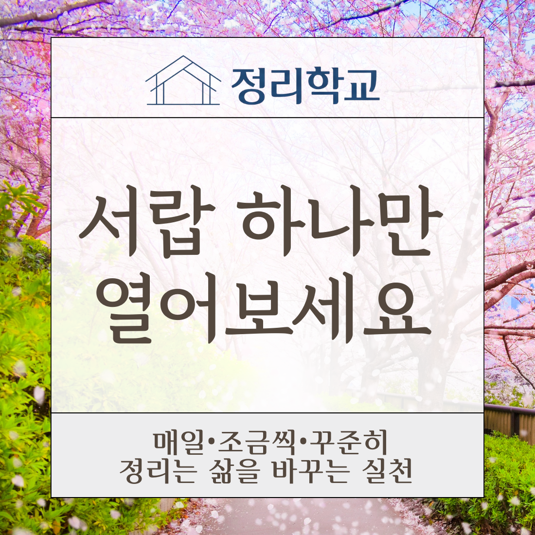 a6f7b8f61ef8c.png