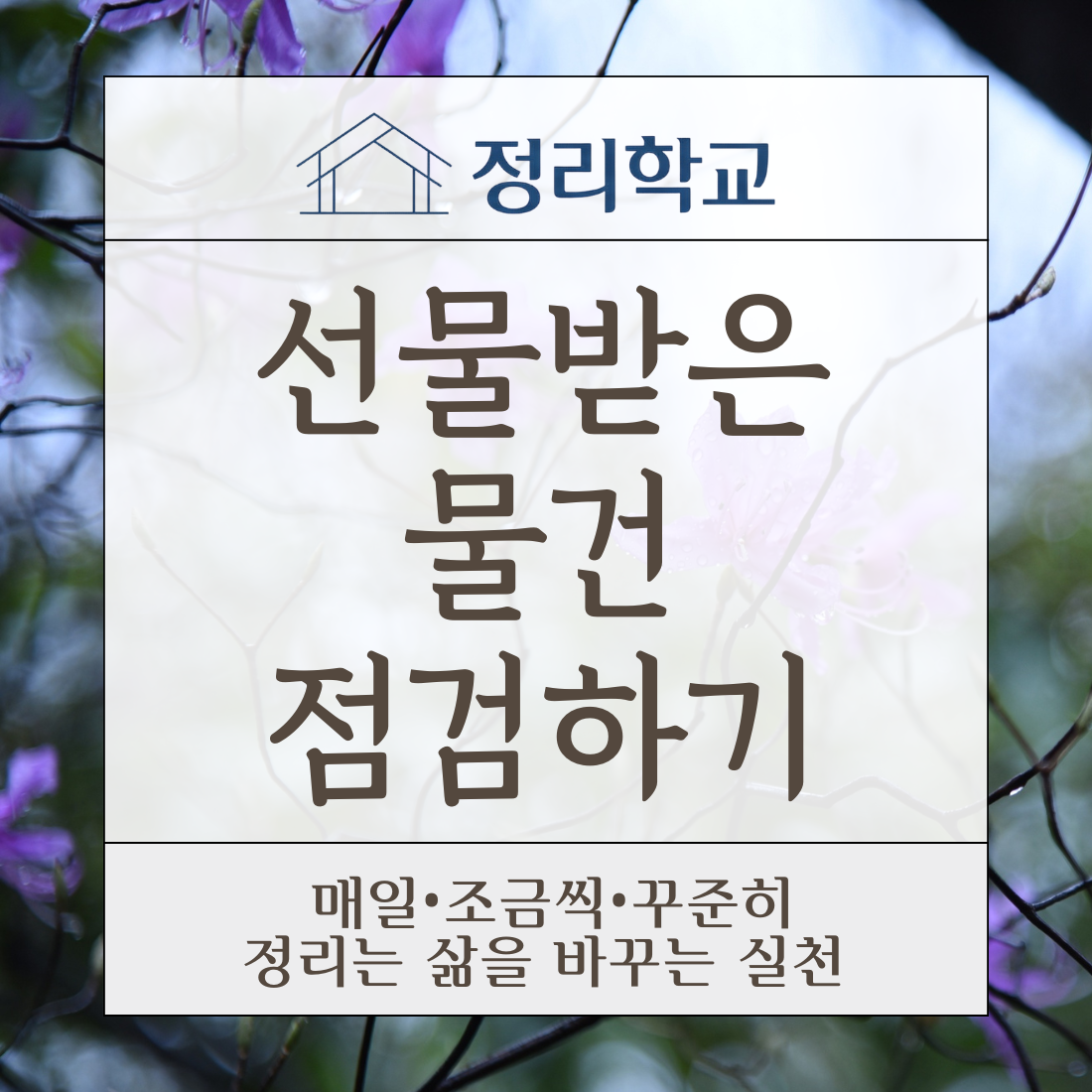 c8fd645f79808.png