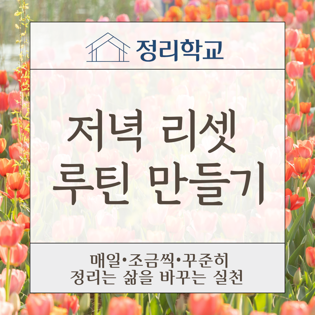 e658db48e51a3.png