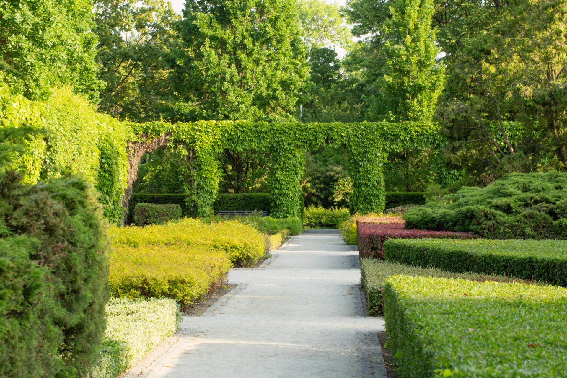 The Garden of Morning Calm