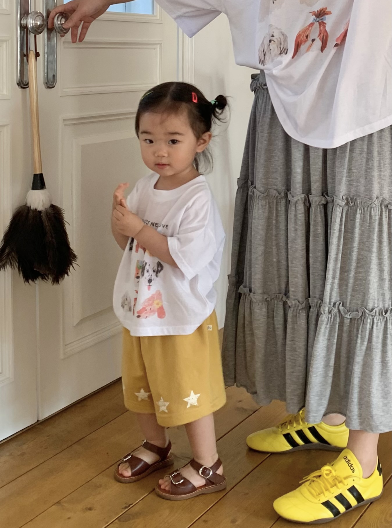 퍼피 모달 T