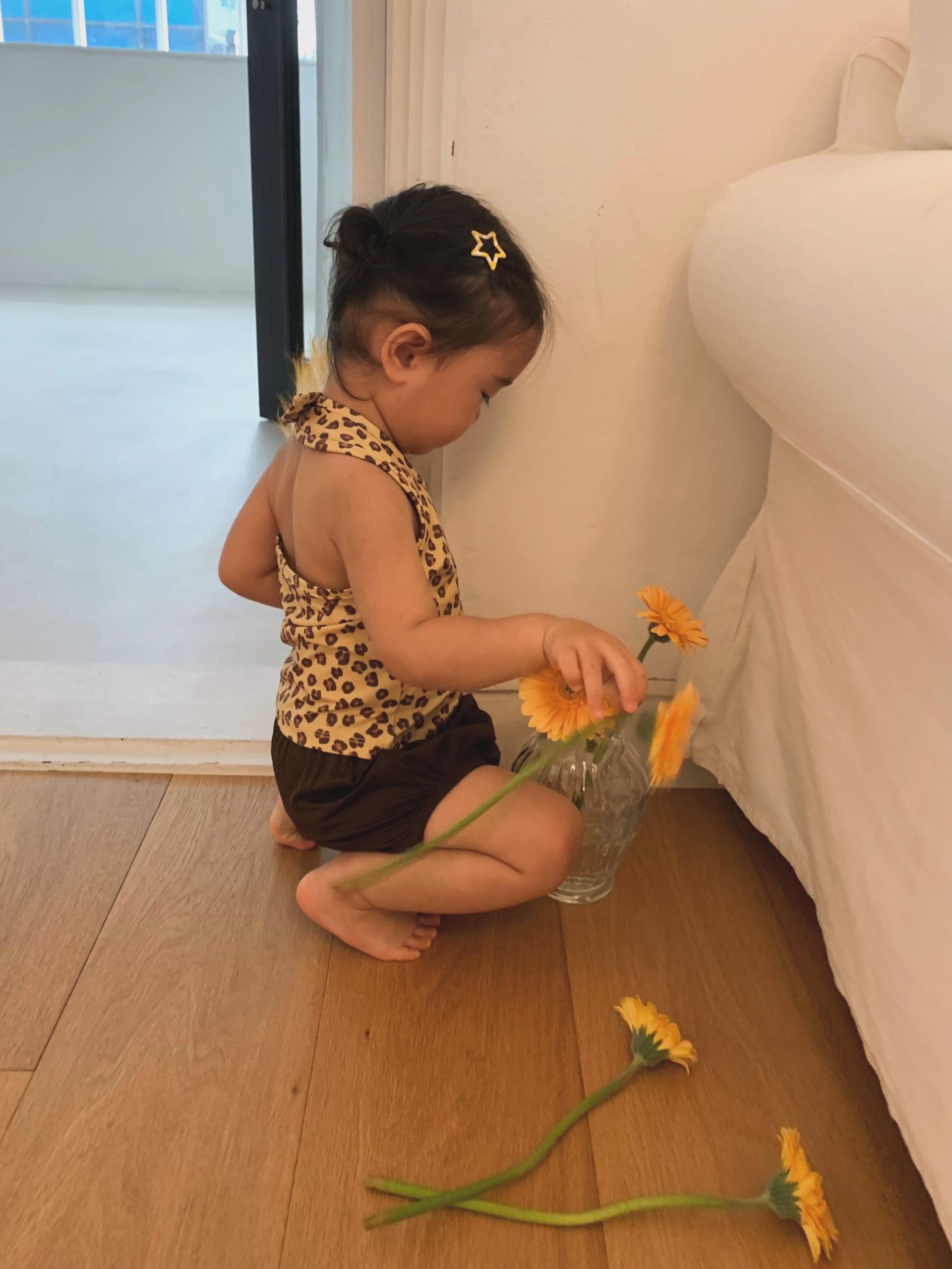 호피