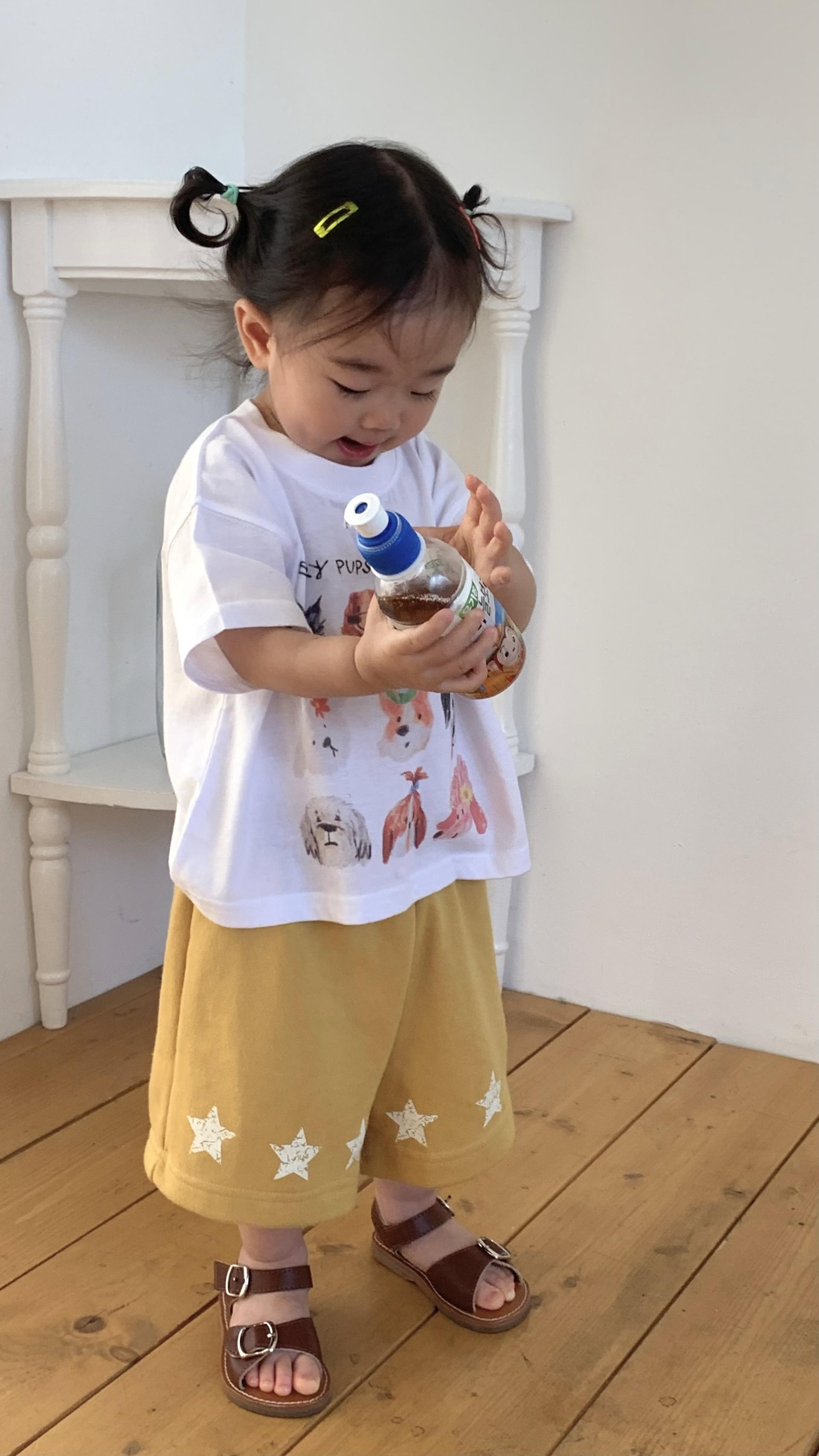 퍼피 모달 T