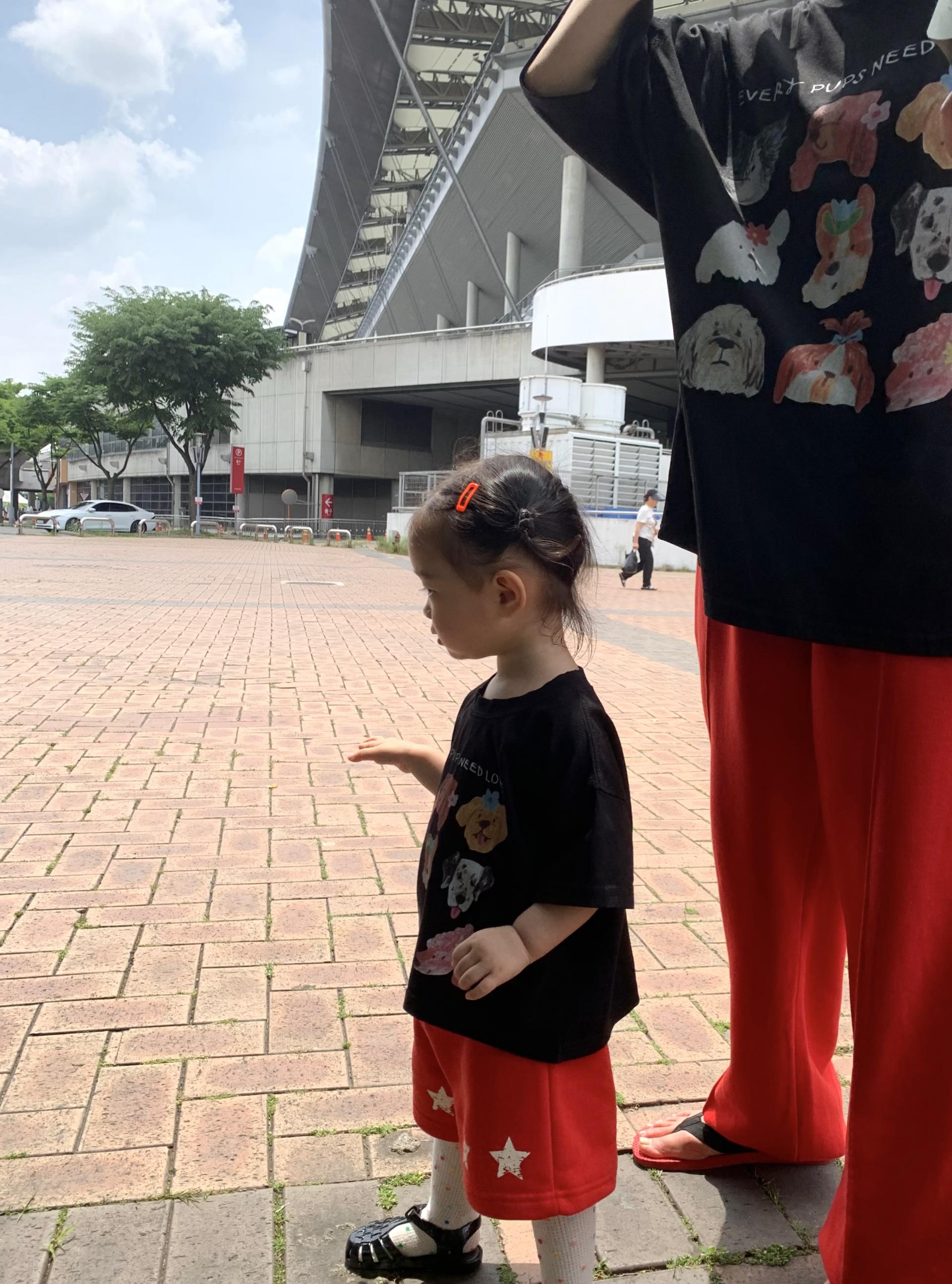 퍼피 모달 T