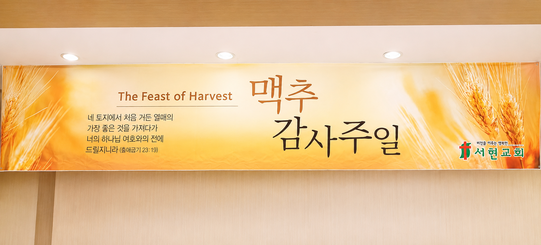 fd0492aa3665c.png